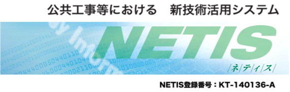 NETIS}[N